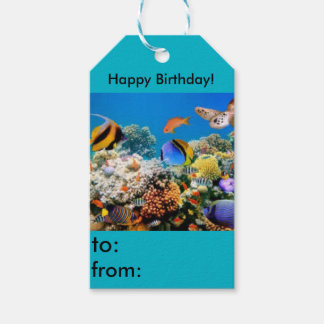 Happy Birthday fish aquarium gift tag