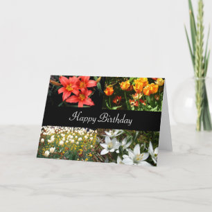 Happy Birthday Flowers Card