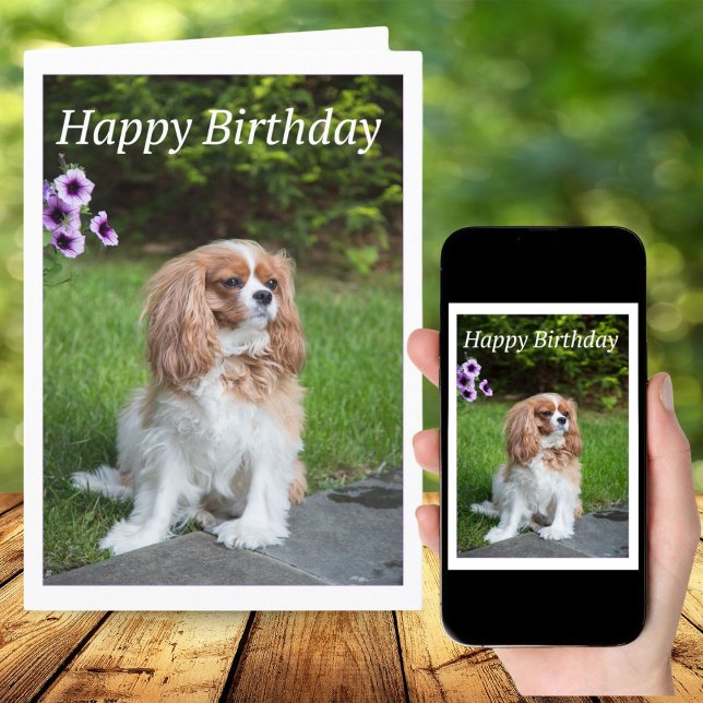 Happy Birthday Flowers Cavalier King Spaniel Card (Creator Uploaded)