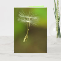 Happy Birthday - Flying Dandelion seeds