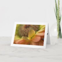 Happy Birthday Folded Cards Featuring Unique Photo