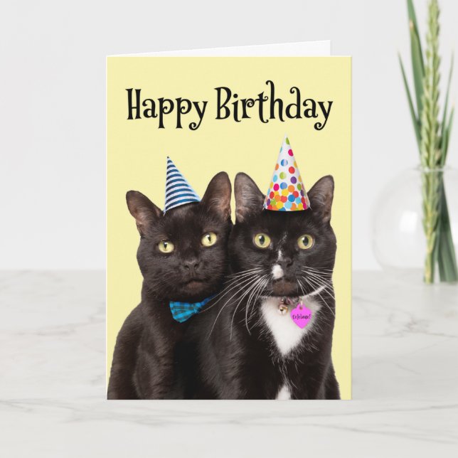 Happy Birthday For Anyone Cats in Party Hats Holiday Card (Front)