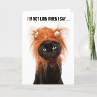 Happy Birthday For Anyone Cute Cat in Lion Costume