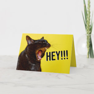 Happy Birthday For Anyone Yelling Cat Humour Holiday Card