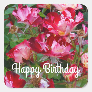 Happy Birthday Fourth of July Rose #2 Stickers