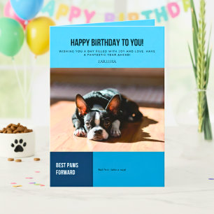 Happy Birthday French Bulldog Blue Greeting Card