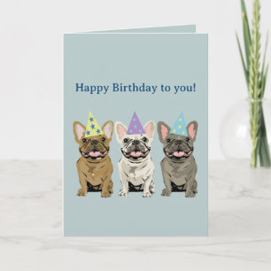 Happy birthday French, bulldog Card
