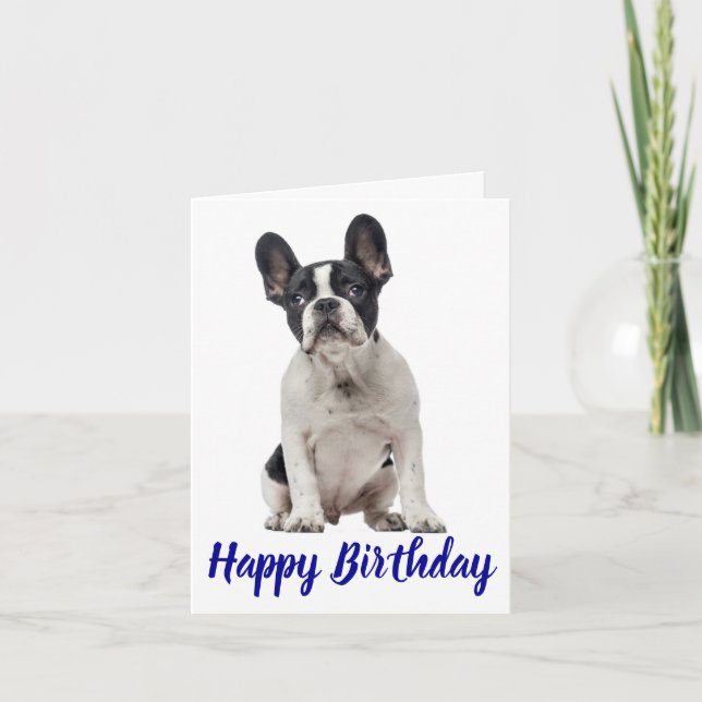 Happy Birthday French Bulldog Puppy Dog Frenchie Card (Front)