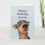 Happy Birthday Friend Funny Dog Humour Card<br><div class="desc">Happy Birthday Friend we've been through a lot together and most of it was your fault.  cute traumatised looking dog</div>