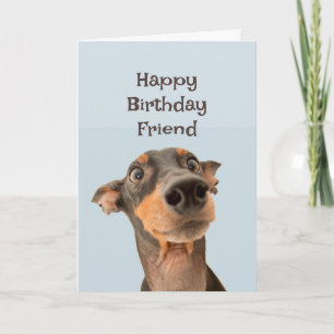 Happy Birthday Friend Funny Dog Humour Card