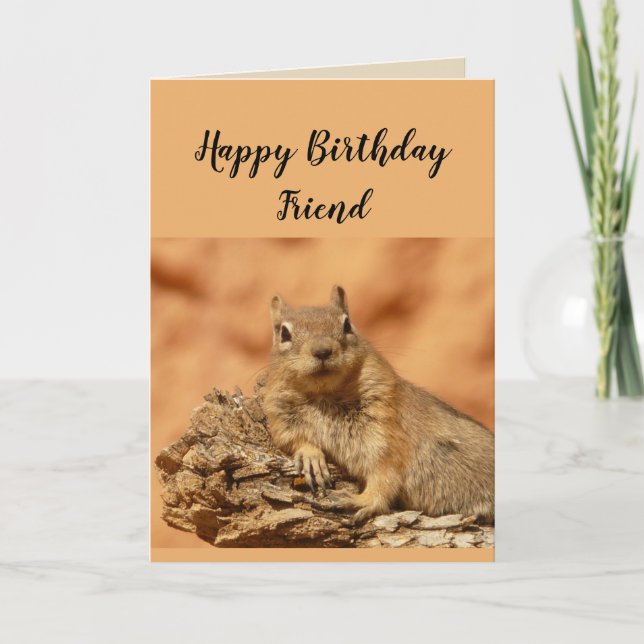 Happy Birthday Friend Funny Squirrel Humour Card (Front)
