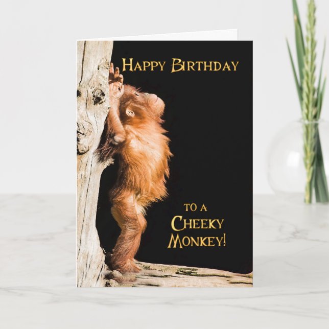 Happy birthday from a baby orang utan card (Front)