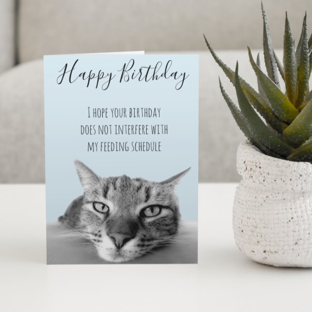 Happy Birthday From Cat Funny Humour Card (Creator Uploaded)