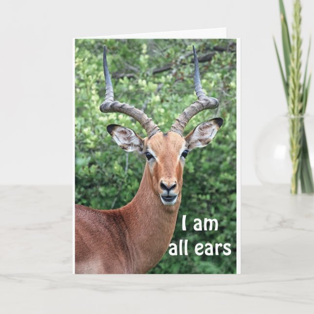 HAPPY BIRTHDAY FROM "COMEDIC DEER" CARD (Front)