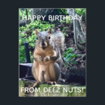 Happy Birthday from Deez Nuts Funny Squirrel Photo Postcard<br><div class="desc">Happy Birthday from DEEZ NUTS! A hilarious squirrel play on words joke about his nuts. Crude humour on an adult's birthday postcard. Make your friends laugh with this pop culture quote.</div>