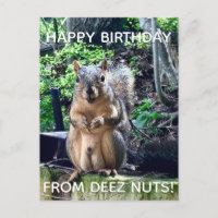 Happy Birthday from Deez Nuts Funny Squirrel Photo