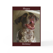 Happy Birthday from Happy Dog