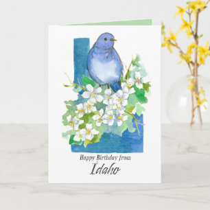 Happy Birthday from Idaho Bluebird Syringa Flowers Card