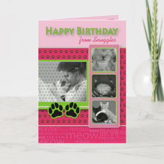 Happy Birthday From the Cat Birthday Card