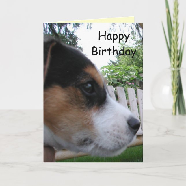 Happy Birthday from the Dog! Card (Front)
