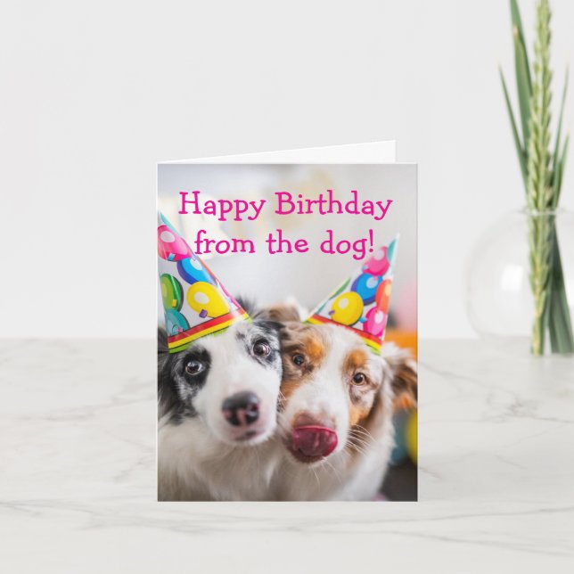Happy Birthday from the Dog  Card (Front)