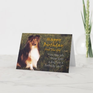 Happy Birthday from the Dog Card
