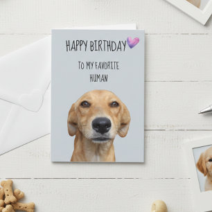 Happy Birthday From The Dog To Favourite Human Card