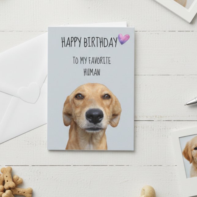 Happy Birthday From The Dog To Favourite Human Card (Creator Uploaded)