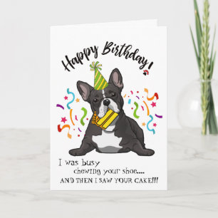 Happy Birthday from Your French Bull Dog Buddy Card