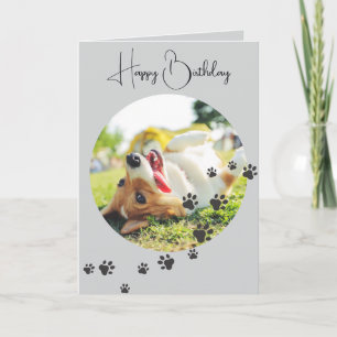 Happy Birthday from Your Furry Friend 2 Photos Card