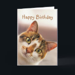 Happy Birthday Fun Cat Kitten Pop in Card<br><div class="desc">Happy Birthday Fun Cat Kitten Pop in to wish you a very Happy Birthday</div>