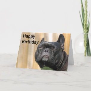 Happy Birthday Fun - Paris Merille Card