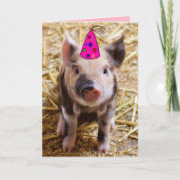 HAPPY BIRTHDAY FUNNY PIG PIGLET GREETING CARDS