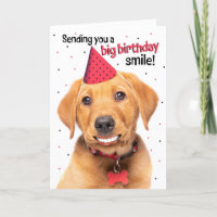 Happy Birthday Funny Red Fox Labrador Puppy