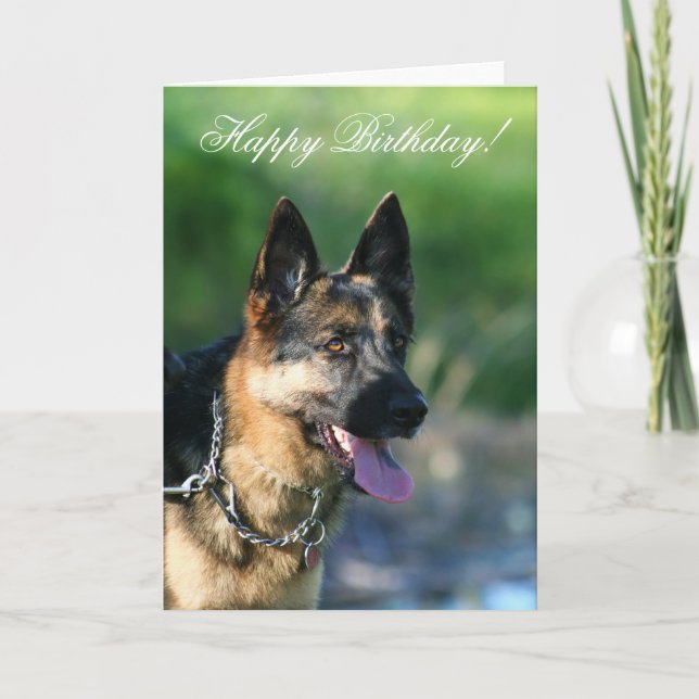 Happy Birthday German Shepherd greeting card (Front)