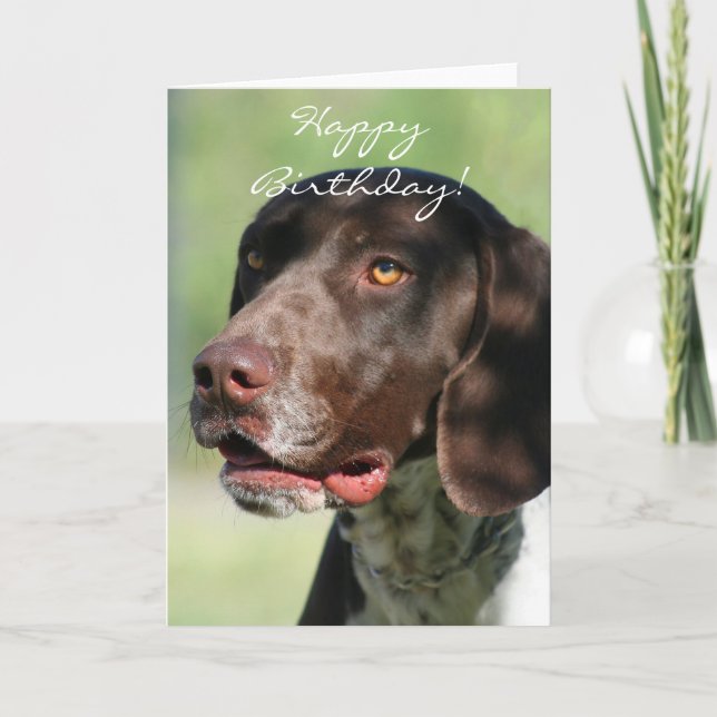Happy Birthday German Shorthaired Pointer Card (Front)