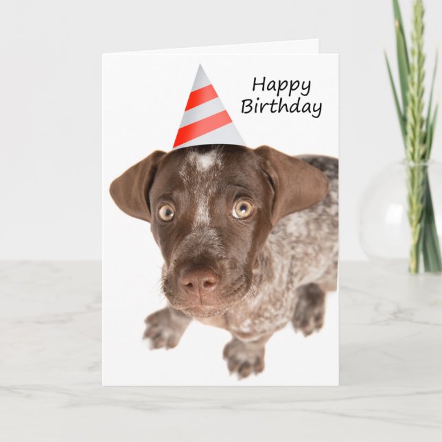 Happy Birthday German Shorthaired Pointer Puppy Holiday Card (Front)