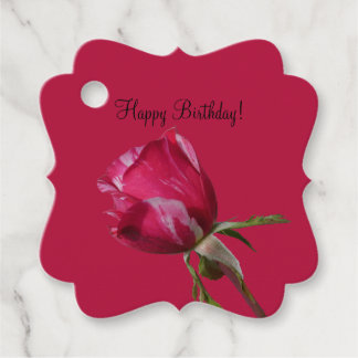Happy Birthday Gift Favour Hanging Tags