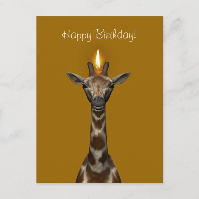 Happy Birthday Giraffe Postcard (Front)