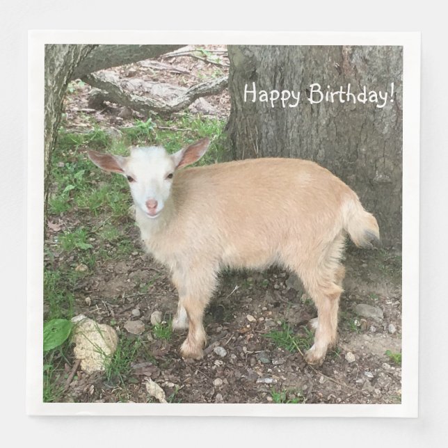 Happy Birthday Goat Napkin (Front)