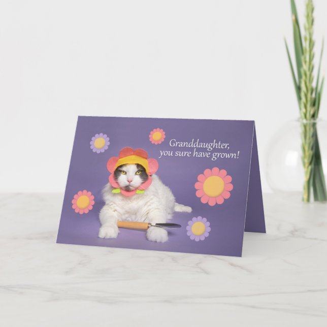 Happy Birthday Grandaughter Cat in Flower Hat Holiday Card (Front)