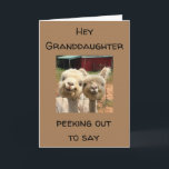 HAPPY *BIRTHDAY* **GRANDDAUGHTER** CARD<br><div class="desc">TO MY ***GRANDDAUGHTER*** HAPPY BIRTHDAY AND THANK YOU FOR STOPPING BY ONE OF MY EIGHT STORES!!!</div>