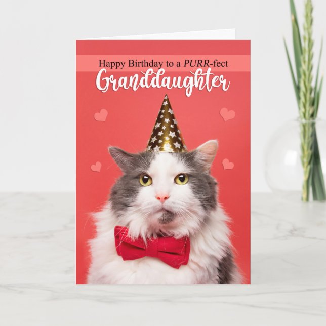 Happy Birthday Granddaughter Cute Cat in Hat Holiday Card (Front)