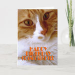 Happy Birthday Granddaughter - Sweet Cat Card<br><div class="desc">Wish your granddaughter a "Happy Birthday",  with this cute card from my "Kitty Koolness" Collection,  featuring an adorable orange and white kitty. The inside can be kept as is,  or personalised by you for that added touch. Photo by designer.</div>