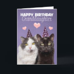 Happy Birthday Granddaughter Two Cute Cats in Hat Holiday Card<br><div class="desc">Your granddaughter will adore these sweet furry faces of these two beautiful kitties in party hats photographed on purple when you wish her a Happy Birthday!</div>