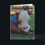 HAPPY BIRTHDAY ***GRANDSON*** CARD<br><div class="desc">THANK YOU FOR STOPPING BY 1 OF MY 8 STORES!</div>