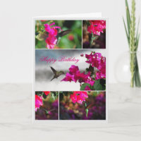 Happy Birthday Green-throated Carib Hummingbird
