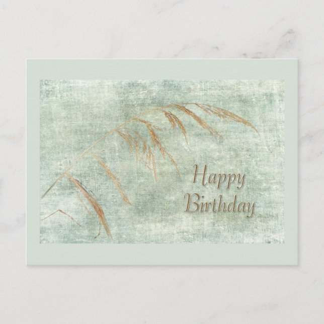 Happy Birthday Greeting Card Wild Grass (Front)