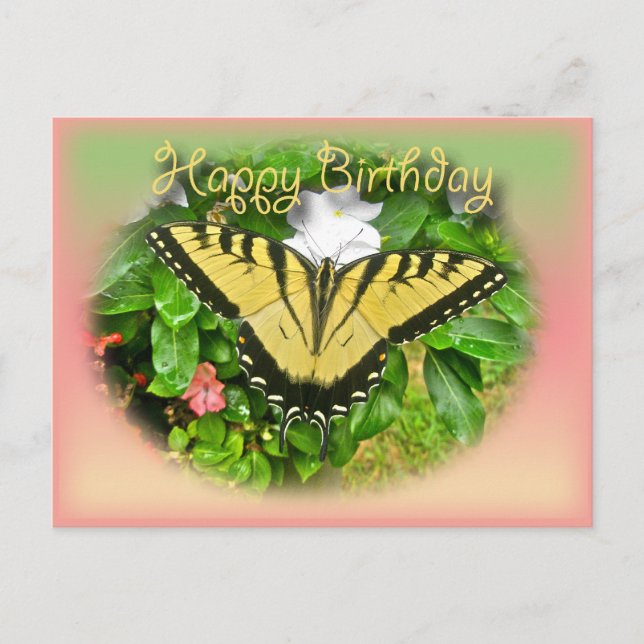 Happy Birthday Greeting Tiger Swallowtail Butterfl Postcard (Front)