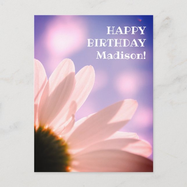 Happy Birthday Greetings Daisy Flower Photo Custom Postcard (Front)